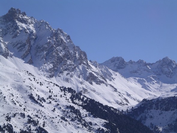 AIGUILLE_DU_FRUIT_ARPASSONIMGP1047.JPG